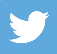 Twitter Icon